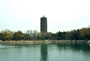 校园风光2